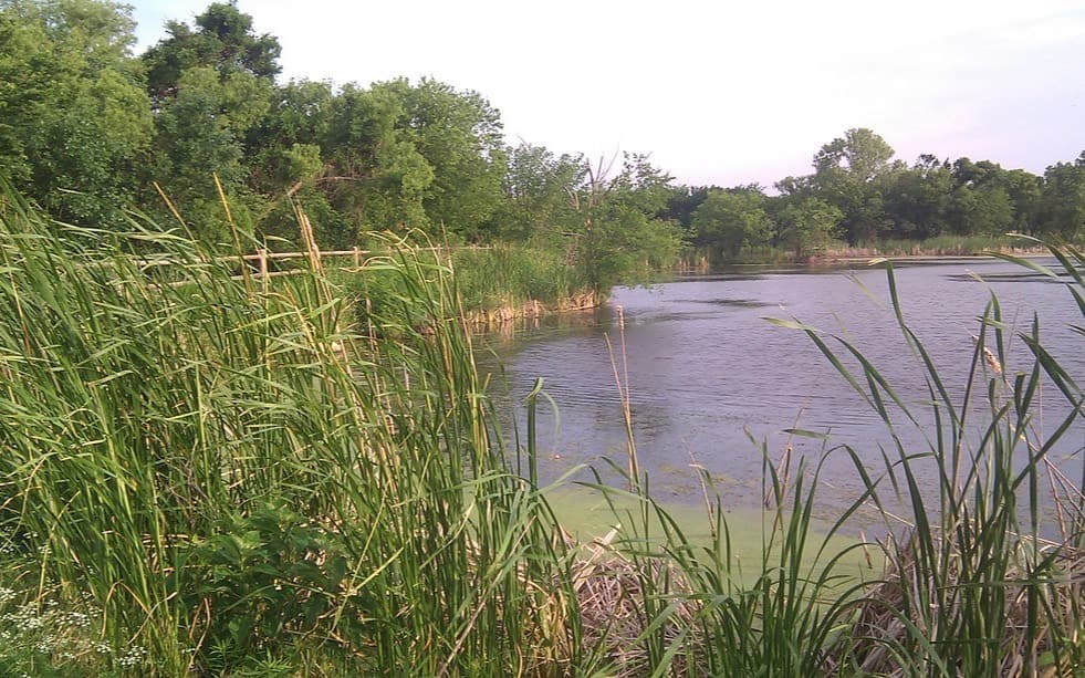 Bluff Creek Trail — Trail in Oklahoma City, OK